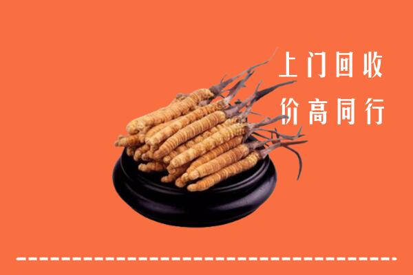 高价求购：随州市回收散虫草