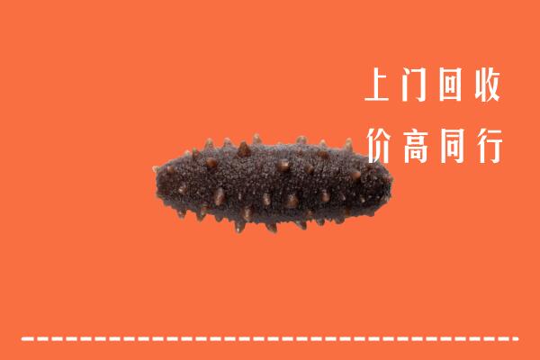 高价求购：随州市回收海参