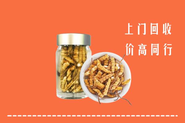 收购行情：随州市回收冬虫夏草
