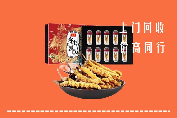 收购行情：随州市回收虫草